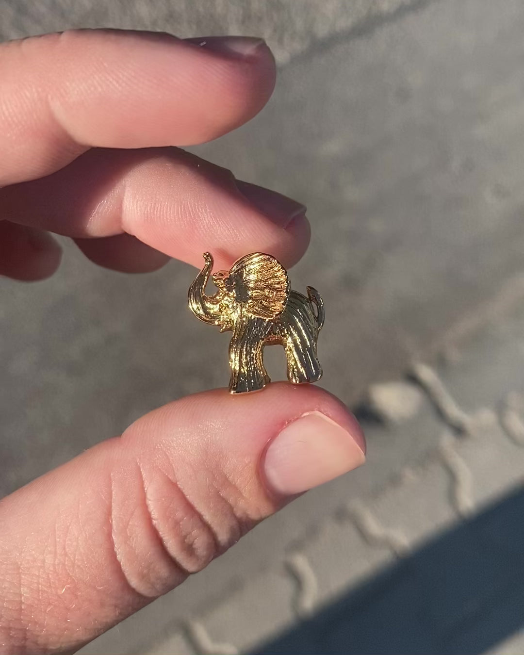 Elefant Anhänger